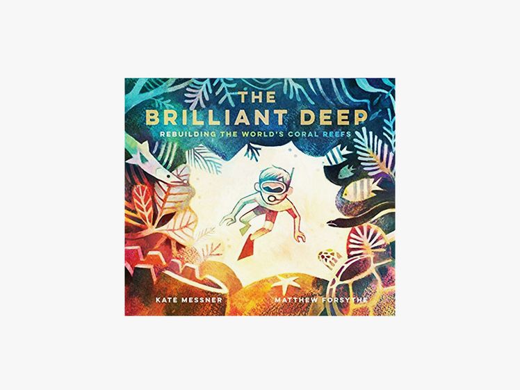 The Brilliant Deep book with a scuba diver on the cover